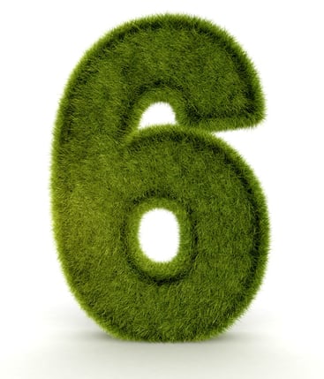 Number six in 3D and grass texture - isolated over white